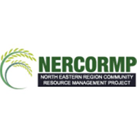 Nercormp